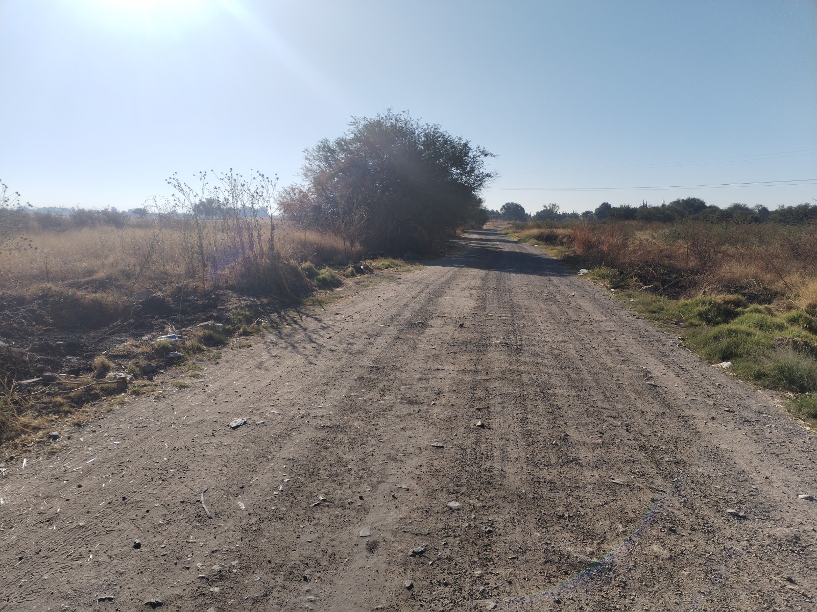 HACIENDA CAMPELLANIA 