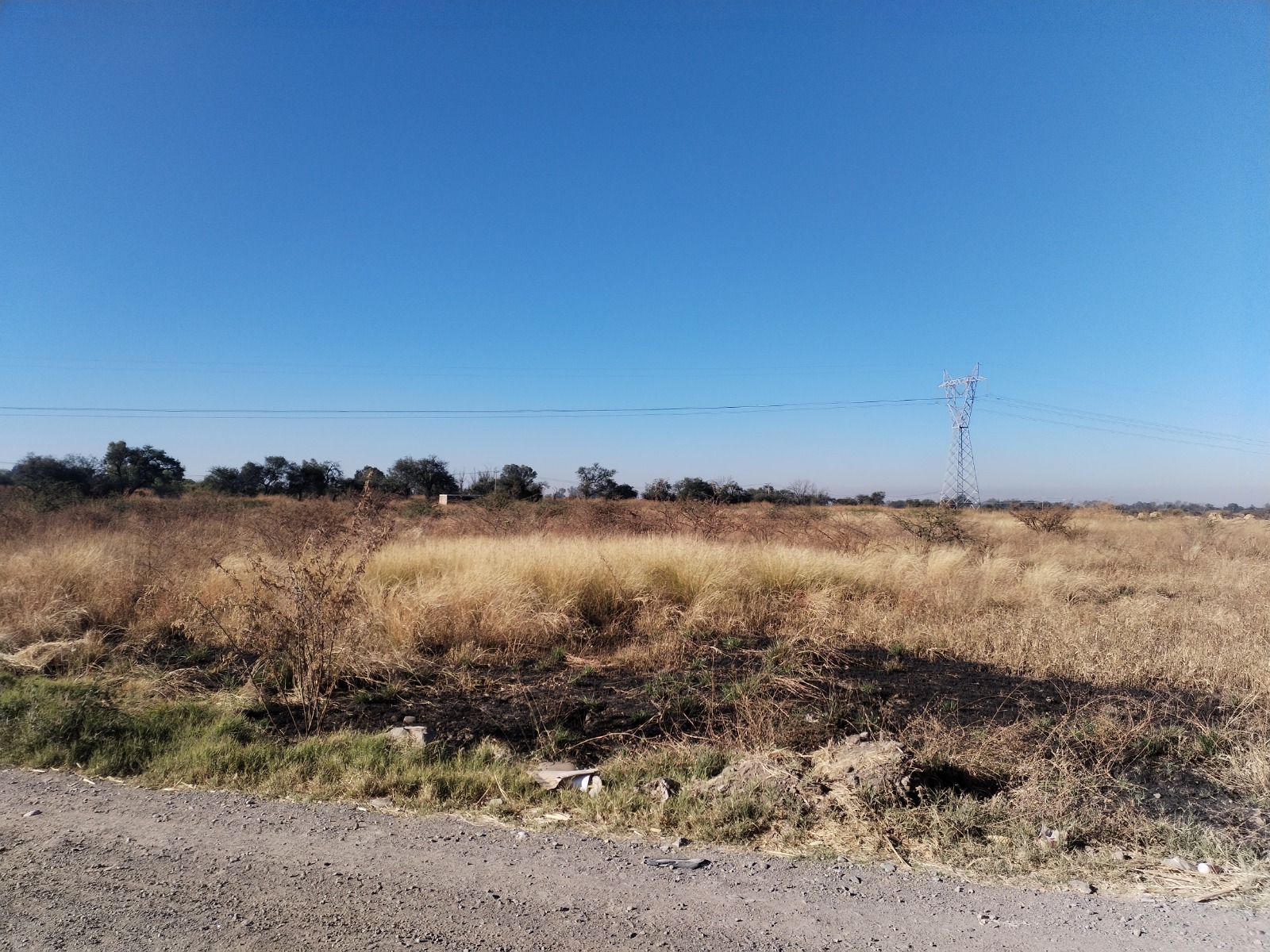 HACIENDA CAMPELLANIA 